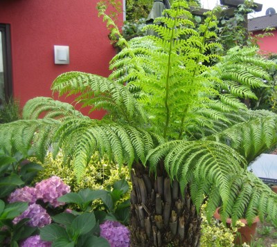 Green 7 001.jpg