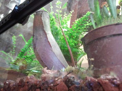 2012-08-17 13.06.03.jpg