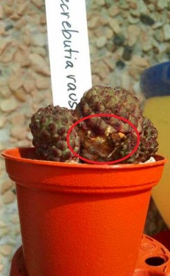 2012-08-17 15.20.10.jpg