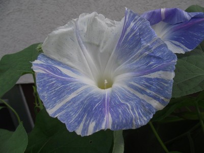 DSCF0841.JPG