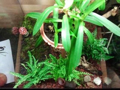 2012-08-17 22.02.54.jpg