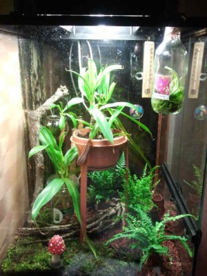 2012-08-17 22.04.52.jpg