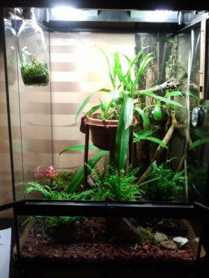 2012-08-17 22.04.36.jpg