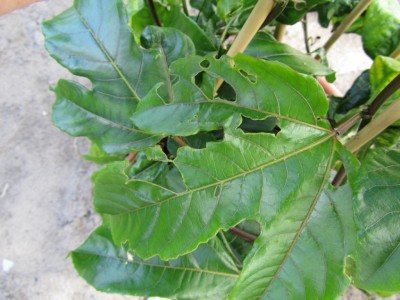 K1024_IMG_1404.JPG