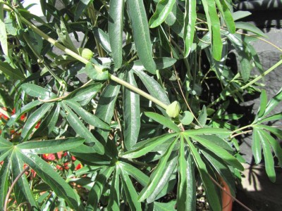 K1024_IMG_1402.JPG