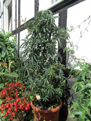 K1024_IMG_1401.JPG
