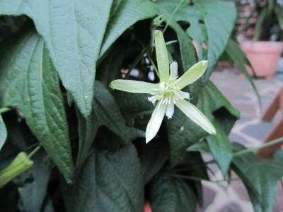 K1024_IMG_1408.JPG