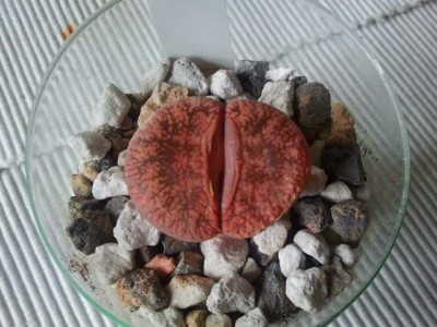 2012-08-20 11.40.00.jpg