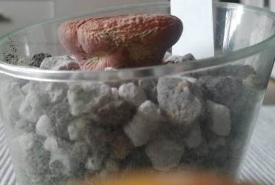 2012-08-20 11.39.10.jpg