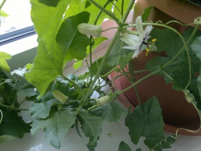K1024_2012-08-20-087.JPG