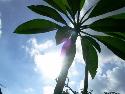 PICT0217.JPG
