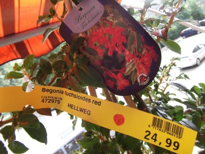 DSCF6073.JPG