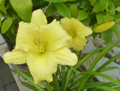 P1020860 (1024x777).jpg