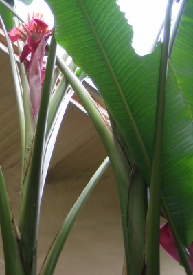 Green 7 091.jpg