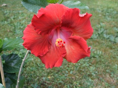 M.Rita.JPG