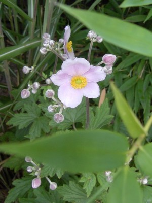 12.August 07.JPG