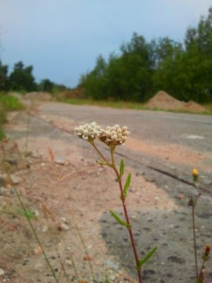 2012-08-24 19.07.33.jpg