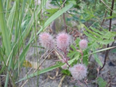 2012-08-24 19.18.42.jpg