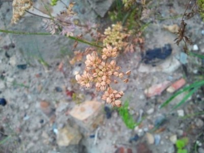 2012-08-24 19.09.19.jpg