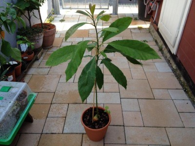 holland 2012 und andere 144.jpg