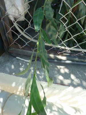 Türkei 2012 434 - Kopie (480x640).jpg