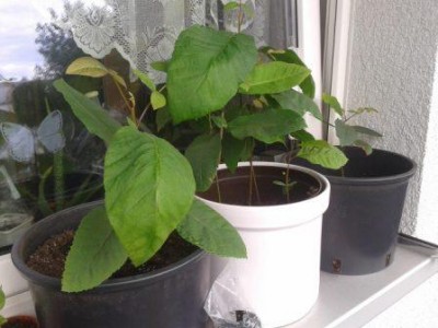 2012-07-08 12.12.08.jpg