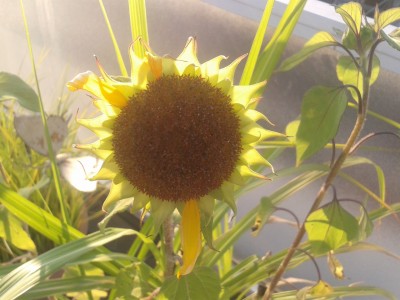 2012-08-29 18.45.12.jpg