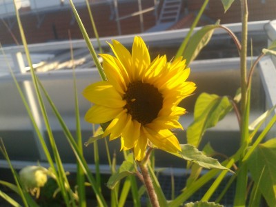 2012-08-29 18.44.42.jpg
