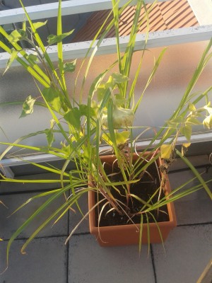 2012-08-29 18.44.10.jpg