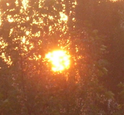 schööööön 623zur.jpg