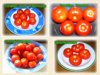 TOMATENMIX.jpg