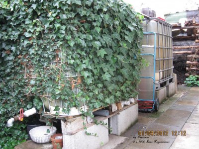 Regenwasser.JPG