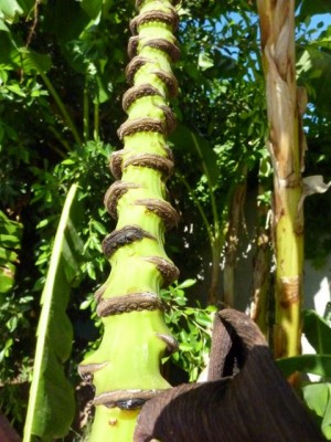 Türkei 2012 200 - Kopie (480x640) (480x640).jpg