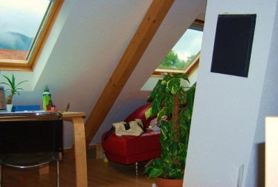 Pflanzenkrankheiten 095.JPG