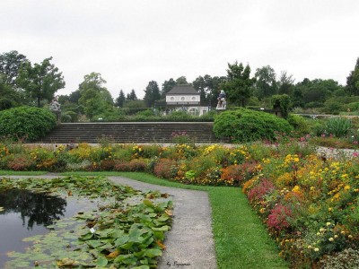 Boga Sept.2012_2704.jpg