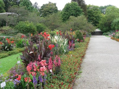 Boga Sept.2012_2708.jpg