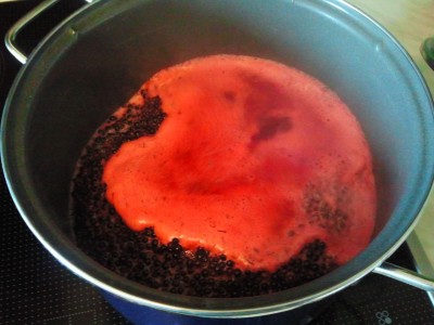 2012-09-01 12.54.13.jpg