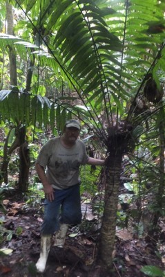 Zamia sp. Esmeraldas, DSCF2231.JPG