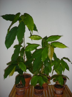 DSC03691.JPG