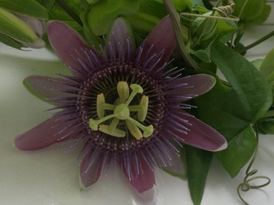 K1024_2012-09-05-090.JPG