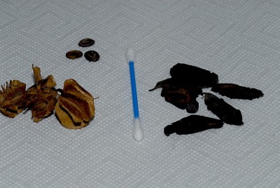 dsc_9298_alle.jpg