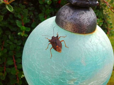 2012-09-06 15.31.16.jpg