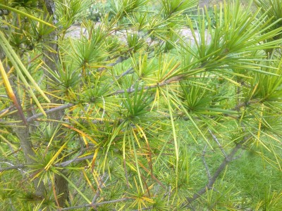 Bild0828.jpg