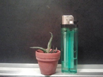 2012-09-08 22.39.48.jpg