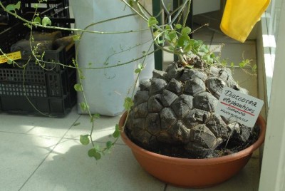 EssenGruga 074yy.jpg