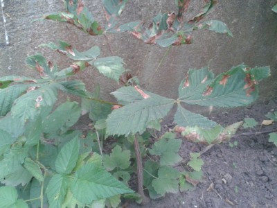 2012-01-31 18.21.26.jpg