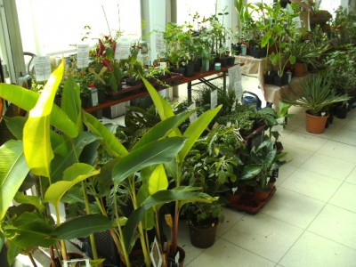 PICT0066.JPG