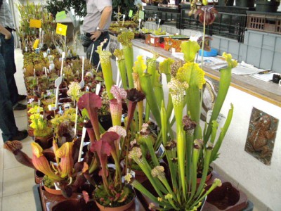 PICT0091.JPG