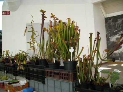 PICT0090.JPG