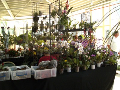 PICT0085.JPG
